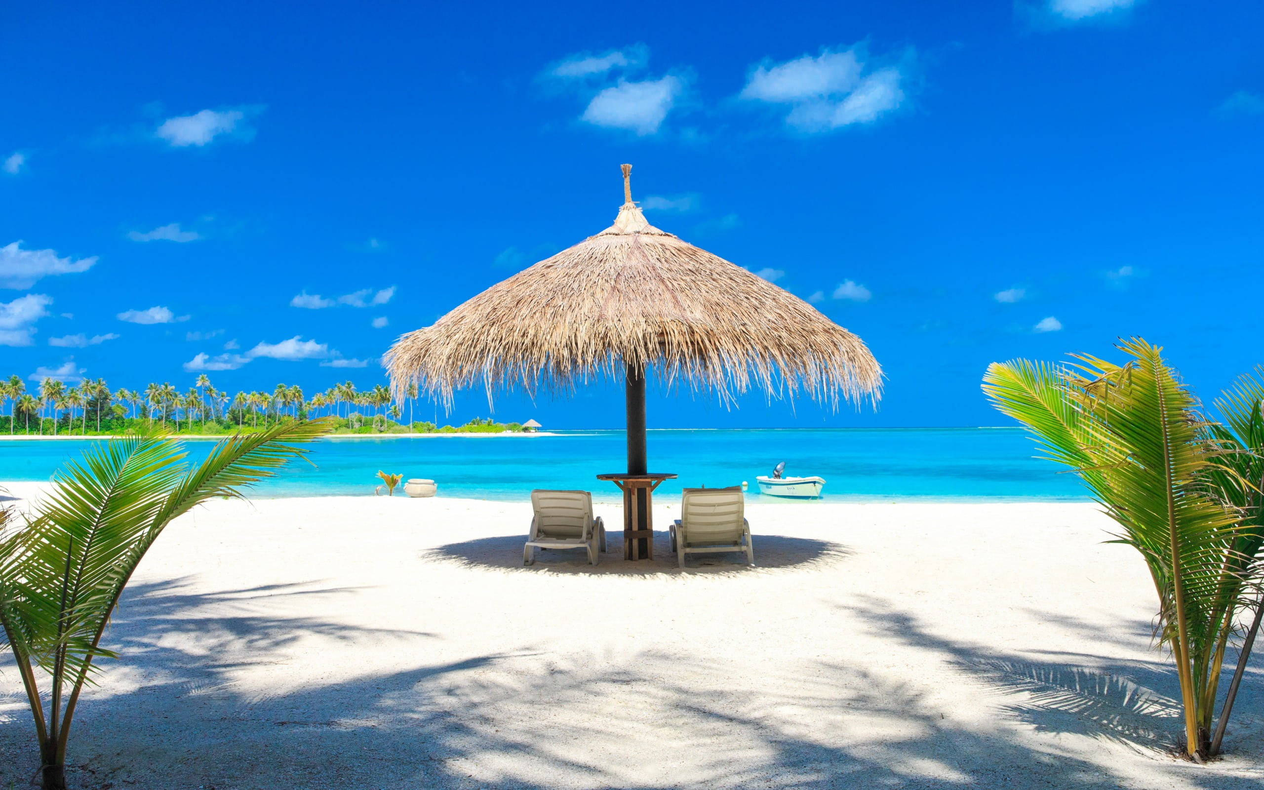 tropical beach, white sand, palm trees, 2K Desktop Wallpaper