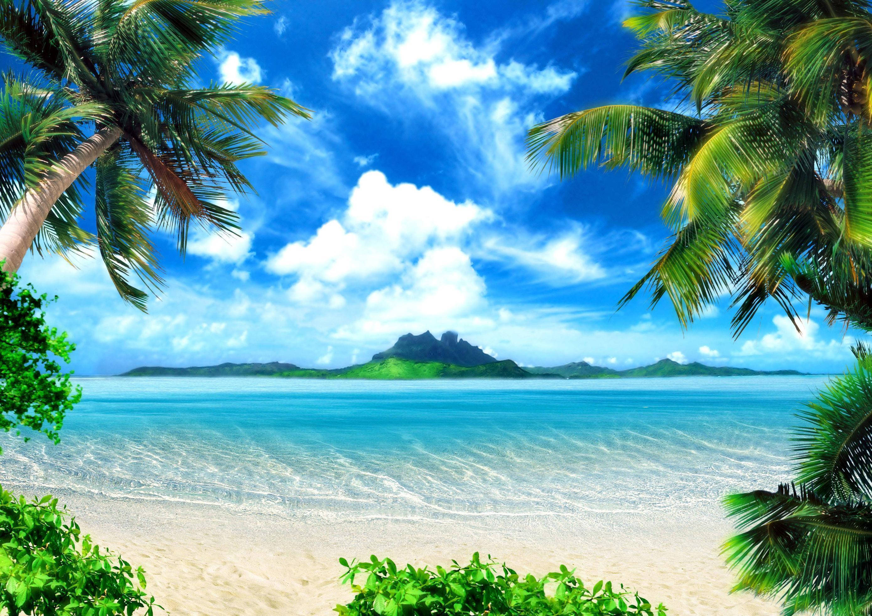 tropical beach, palm fronds, turquoise waters, 2K Desktop Wallpaper