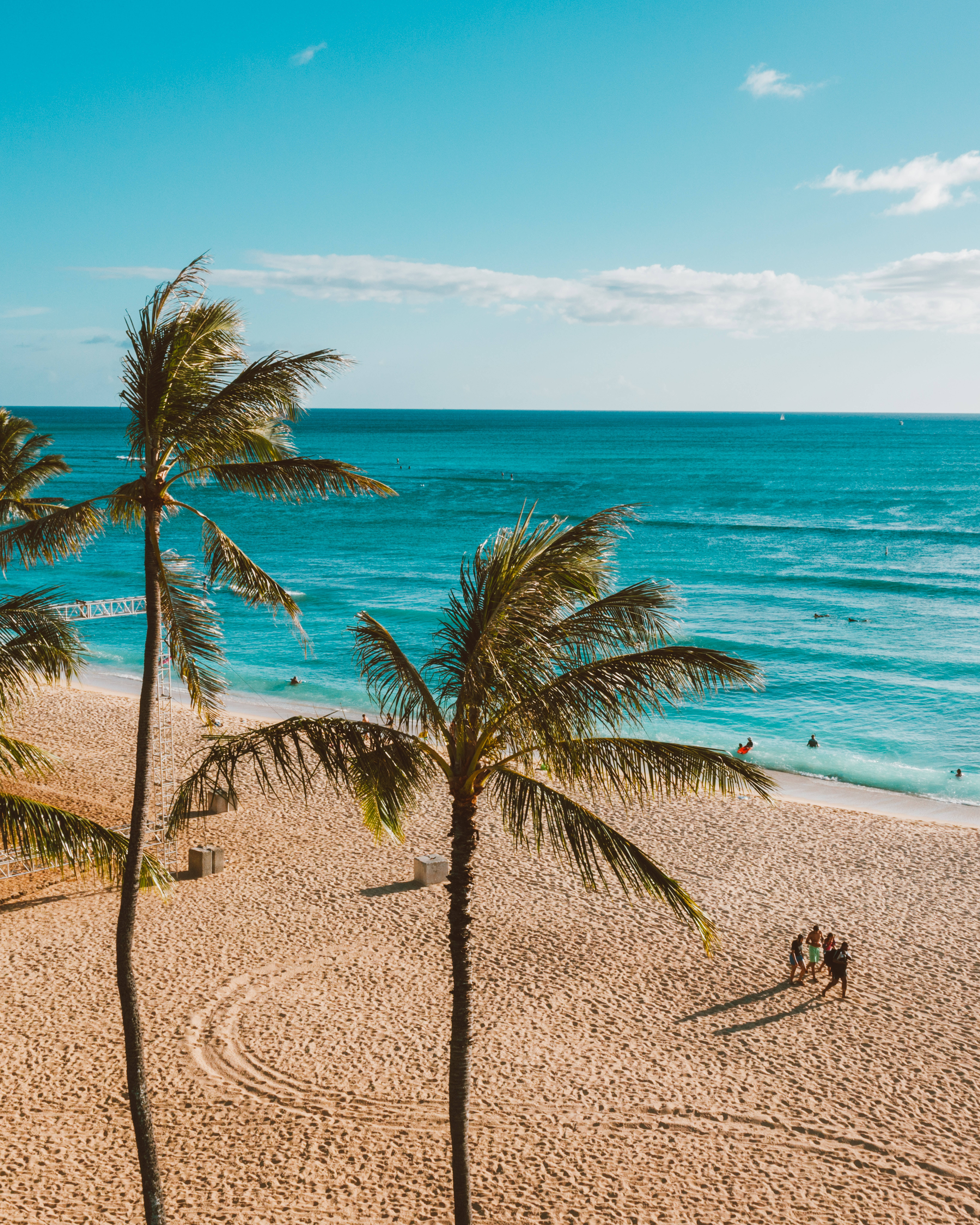 sunny tropical beach, palm trees, golden sand, 8K Phone Wallpaper