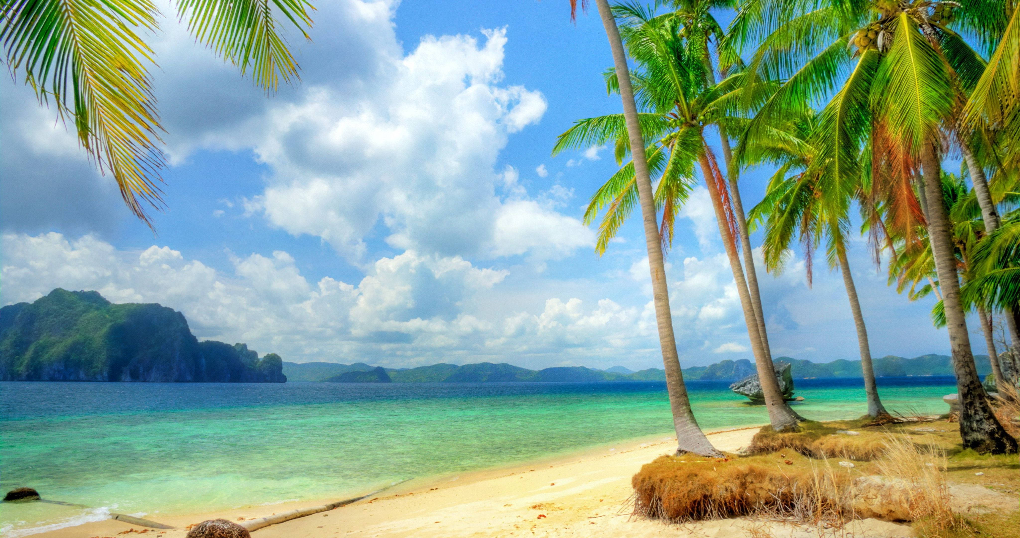 Tropical Beach, palm trees, turquoise waters, 4K Desktop Wallpaper