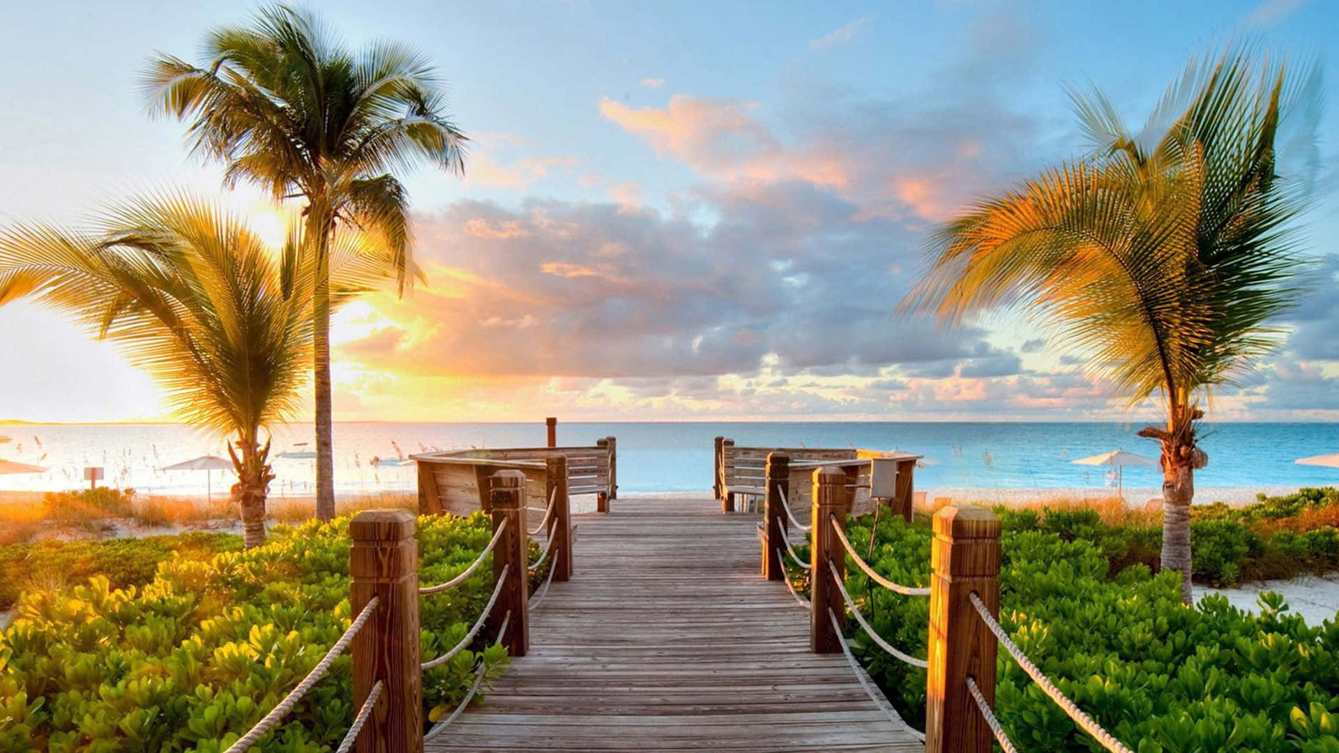 cute summer beach, wooden boardwalk, palm trees, Full HD Desktop Wallpaper