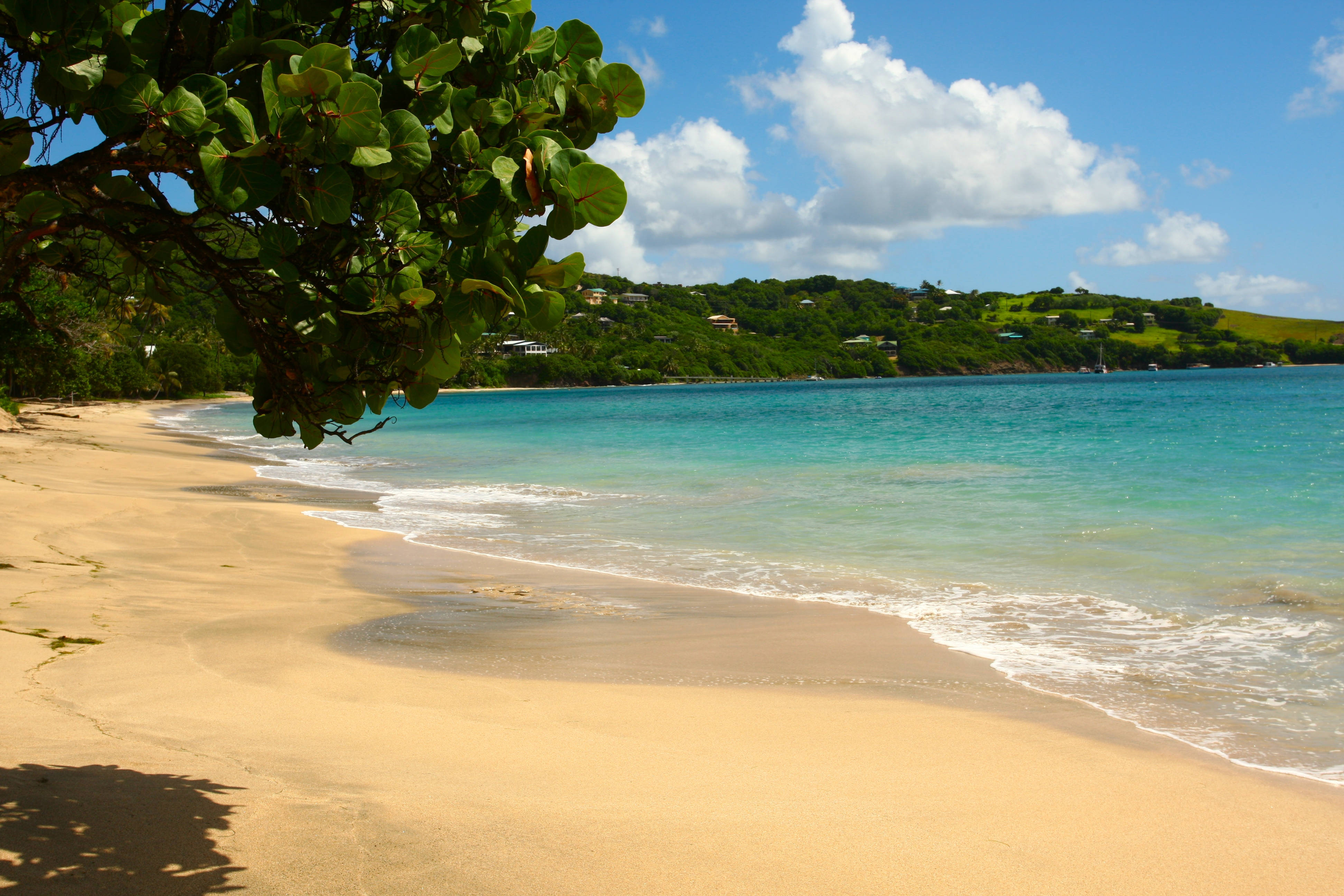 tropical beach, turquoise waters, gentle waves, 4K Desktop Wallpaper