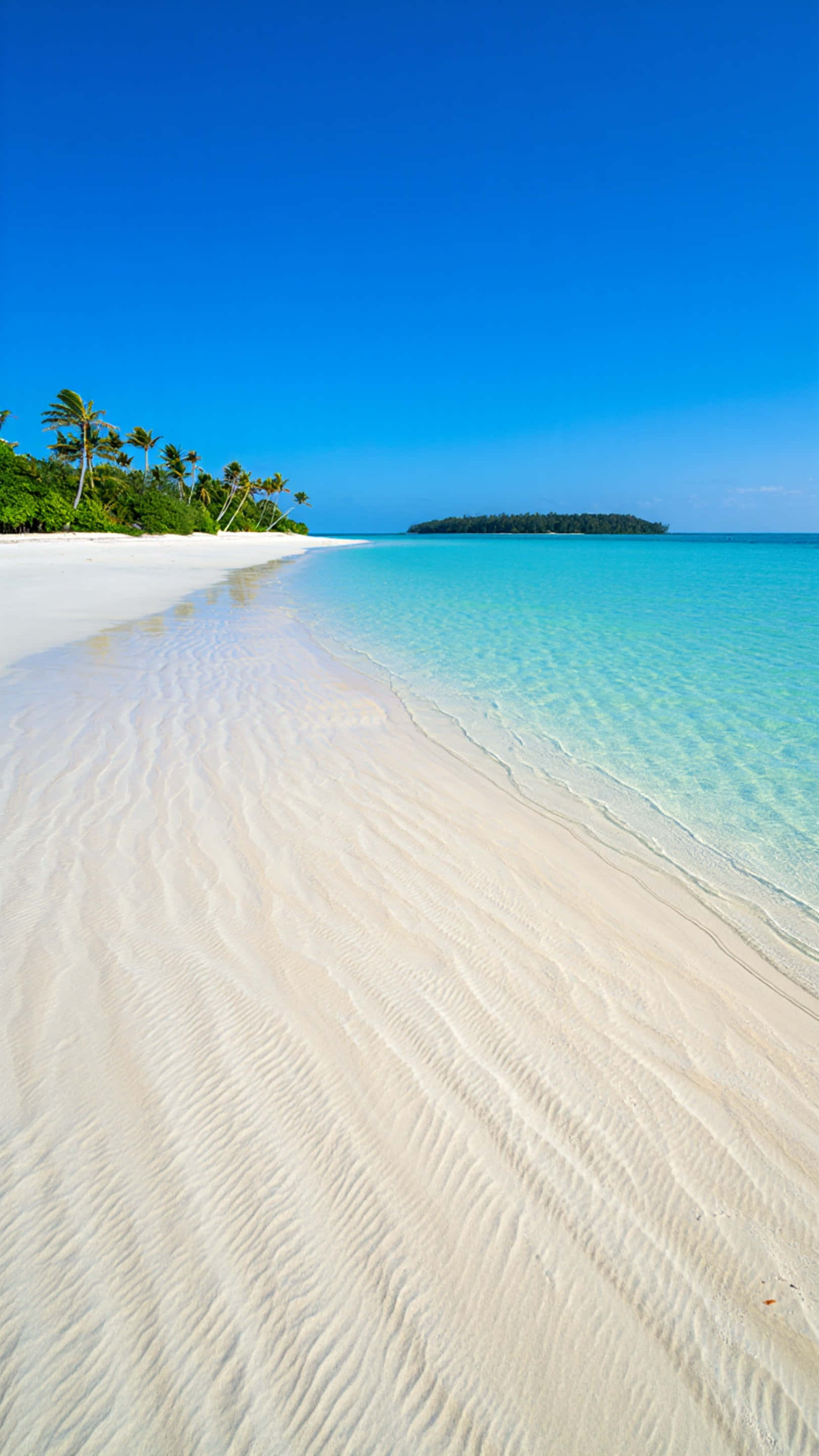 tropical beach, turquoise waters, bright blue sky, 2K Phone Wallpaper