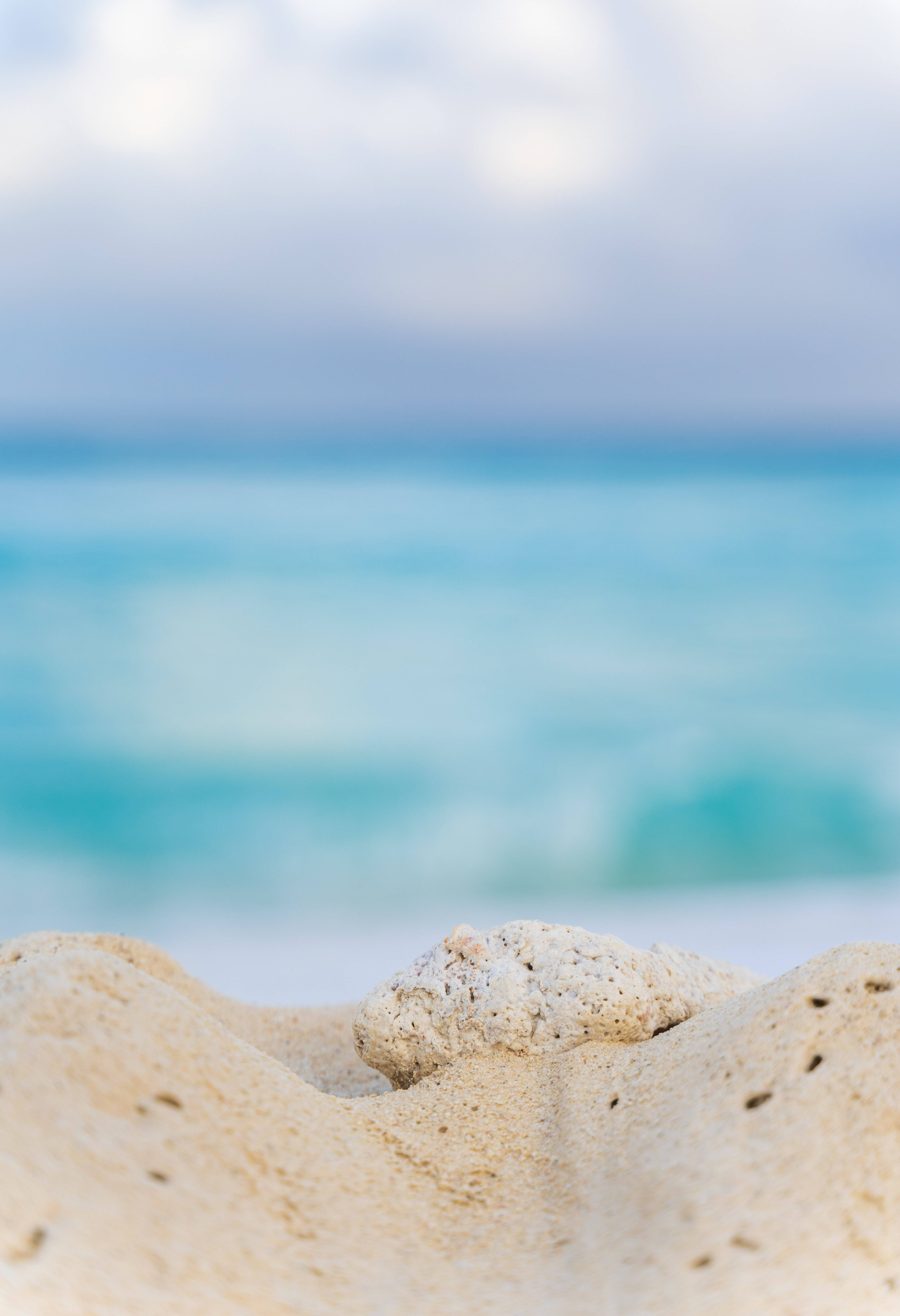 white beach stone, textured seashell, fine sand, 5K Phone Wallpaper