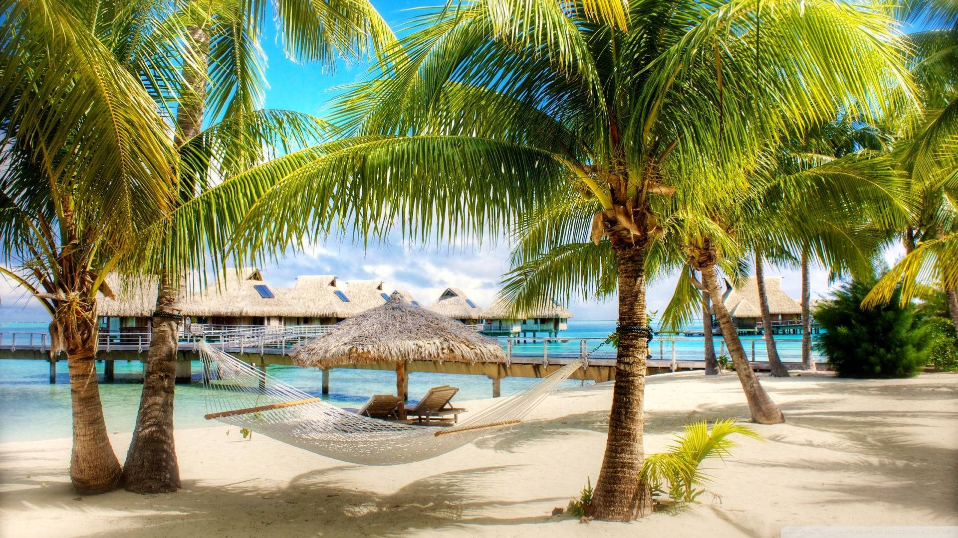 tropical beach front resort, white sandy beach, overwater bungalows, Full HD Desktop Wallpaper