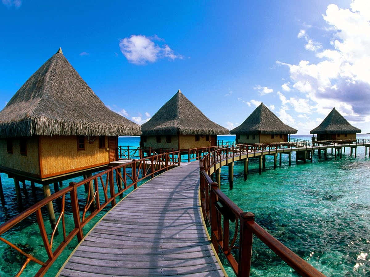 resort beach huts bridge, wooden boardwalk, turquoise waters, SD Desktop Wallpaper