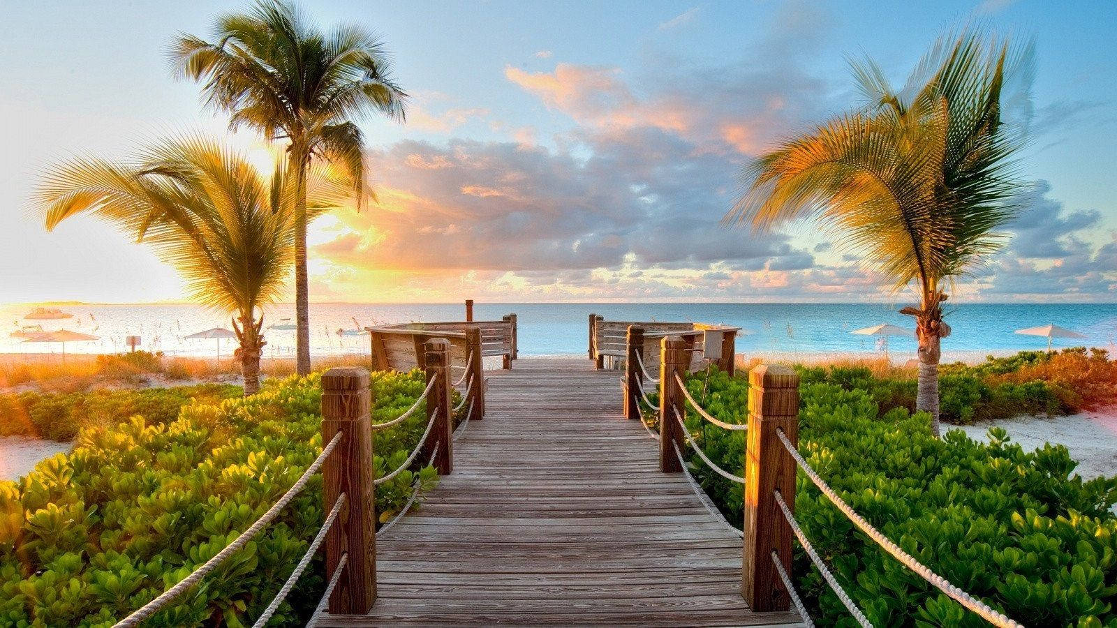 wooden beach walkway, palm trees, serene beach, HD Desktop Wallpaper