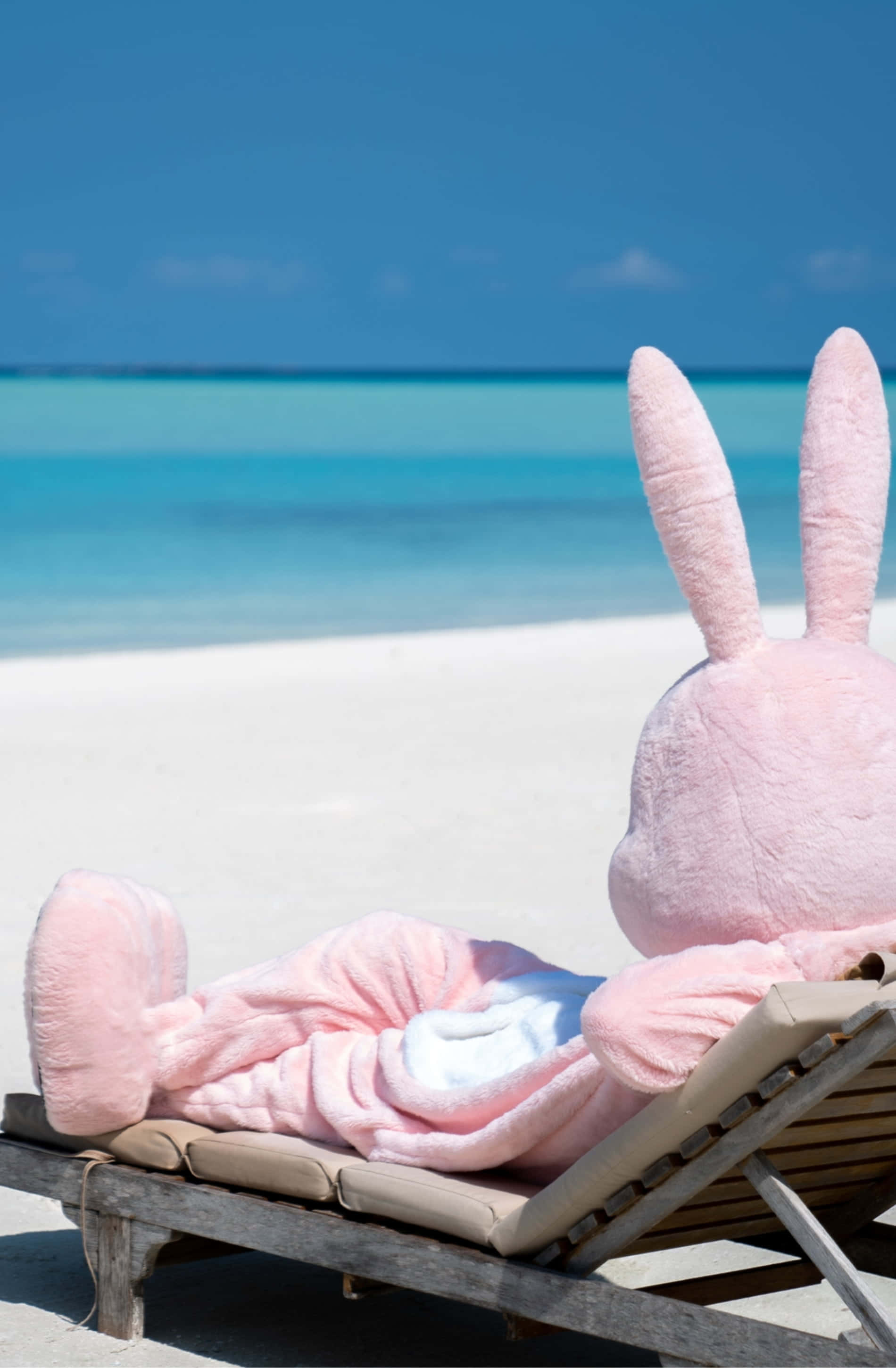 beach daybed, pink plush bunny, wooden beach chair, 2K Phone Wallpaper