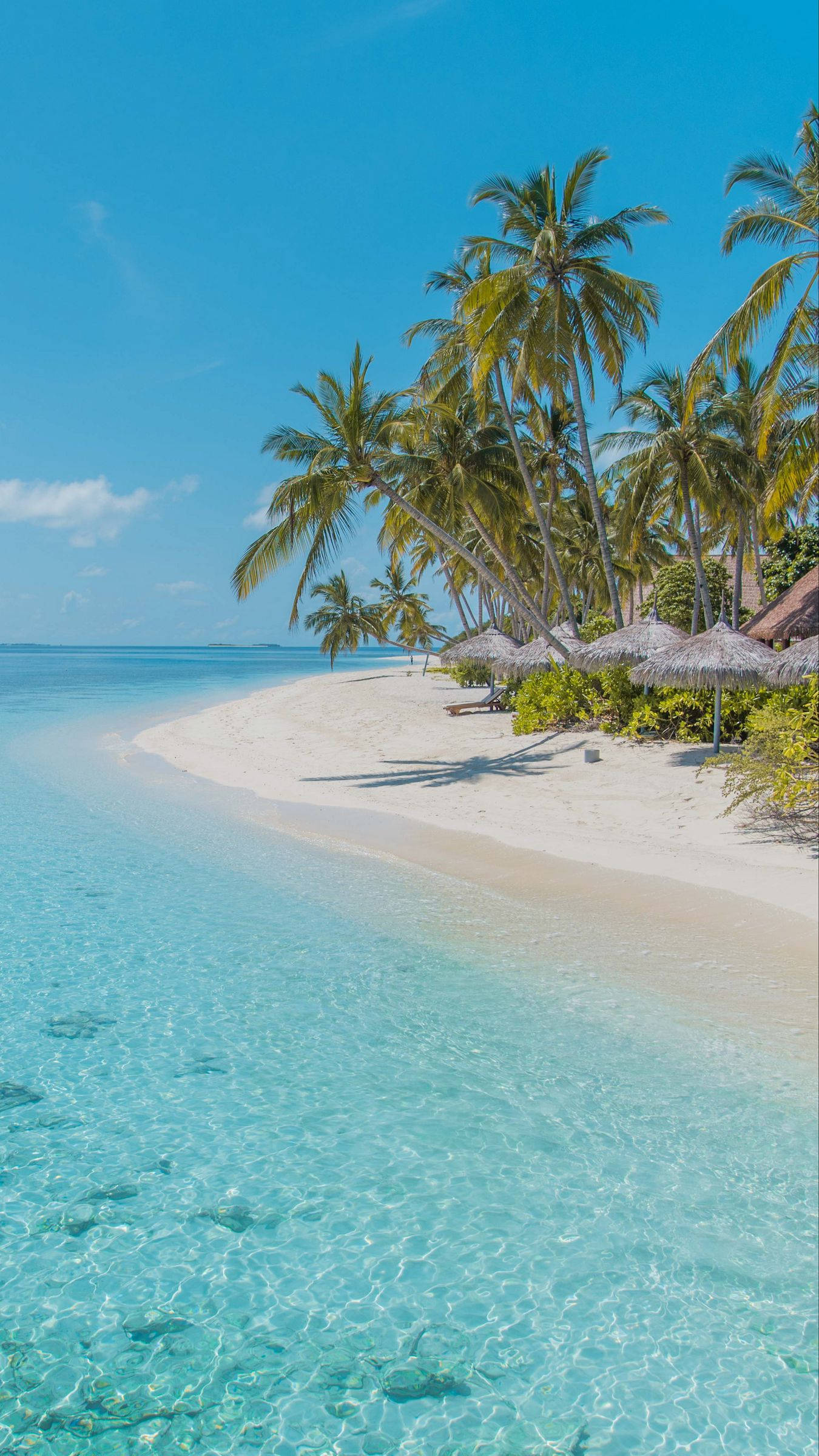 clear shoreline beach theme, crystal clear turquoise waters, pristine white sand beach, Full HD Phone Wallpaper