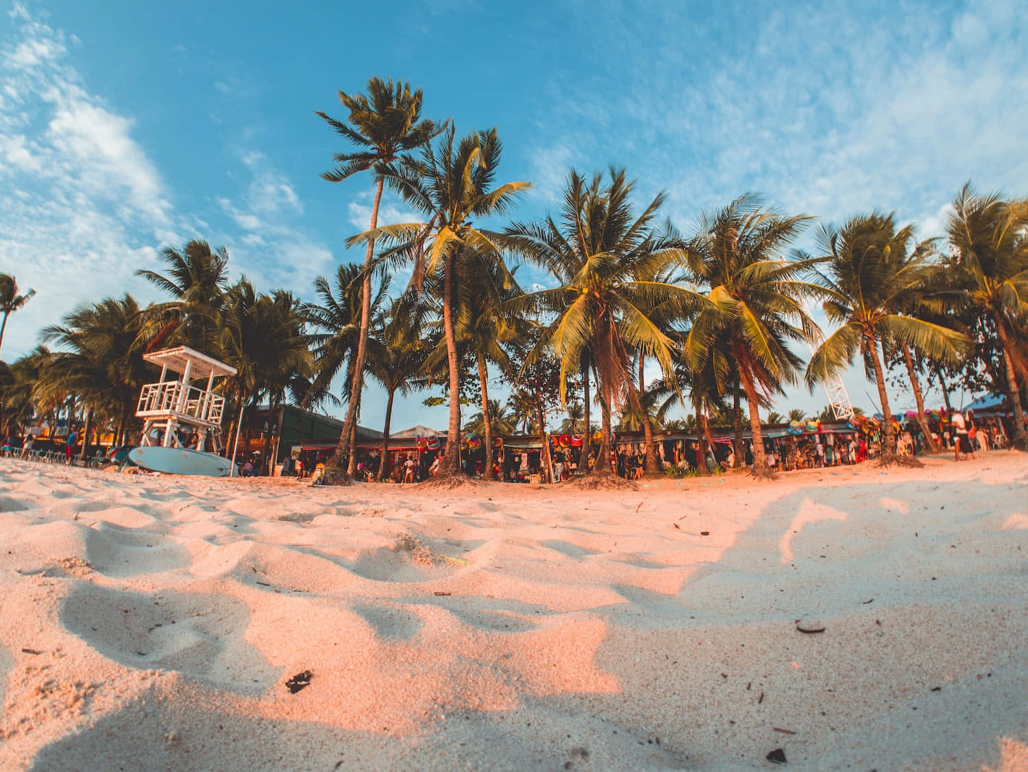 Sunset, tropical beach, palm trees, HD Desktop Wallpaper