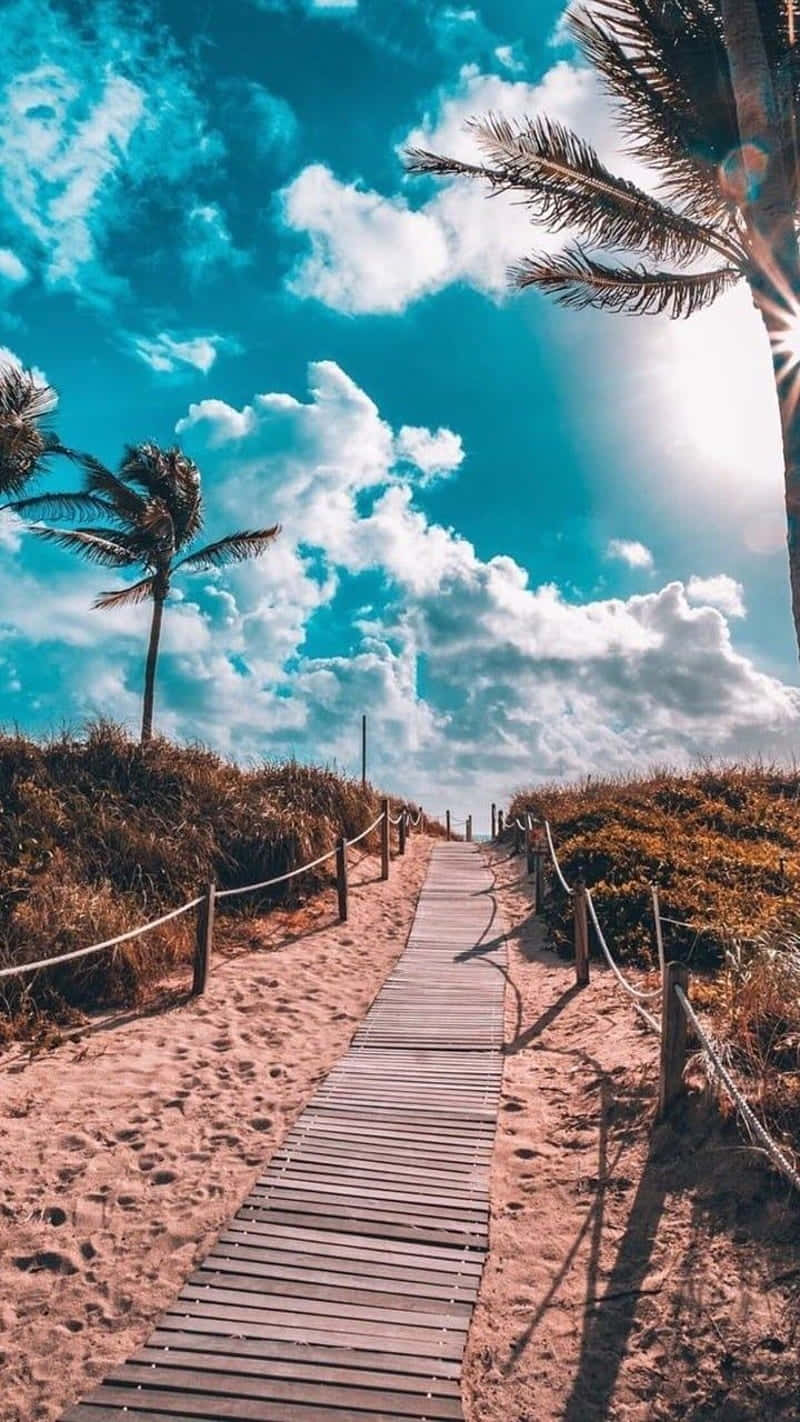 pastel summer boardwalk, beach path, wooden boardwalk, HD Phone Wallpaper