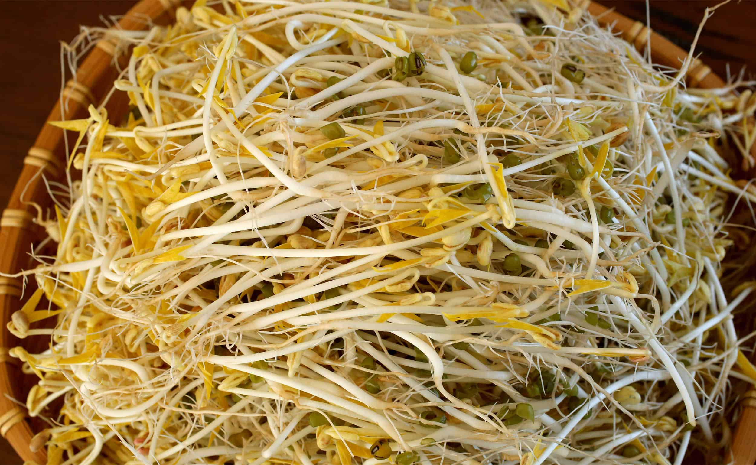 mung bean sprouts, fresh bean sprouts, woven bamboo basket, Full HD Desktop Wallpaper