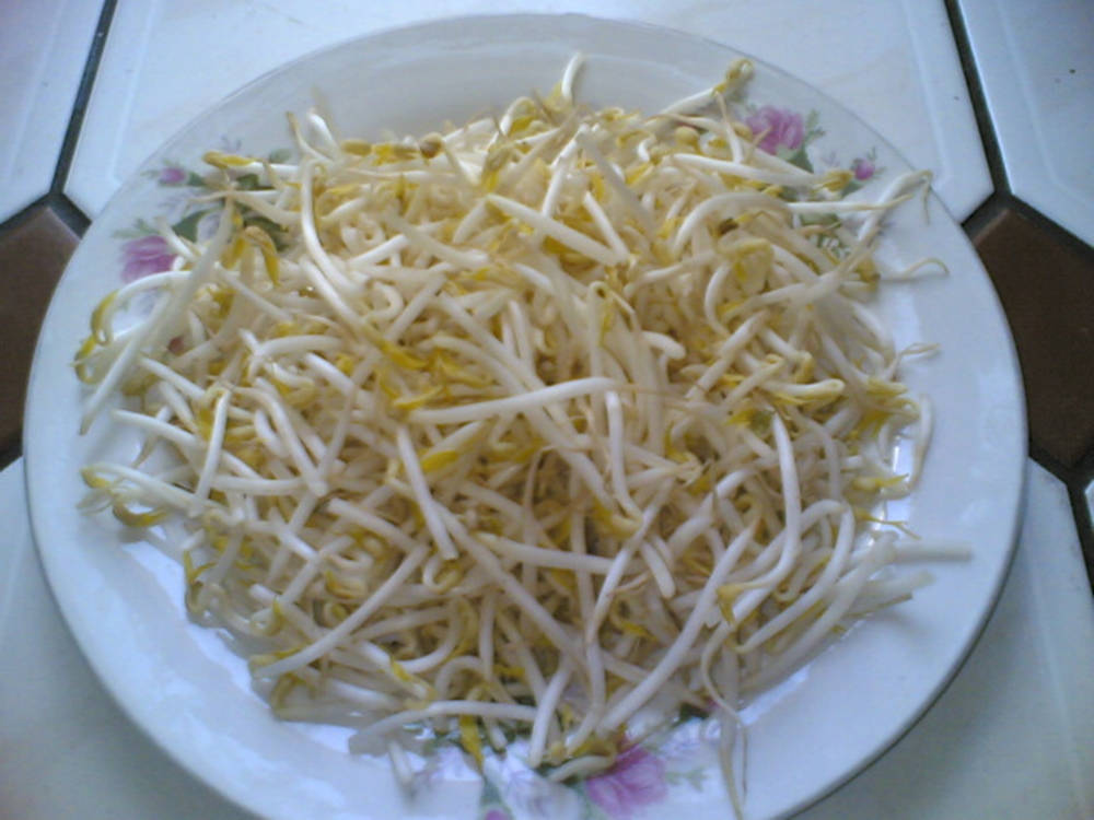 mung bean sprouts, white and yellow bean sprouts, floral dish, SD Desktop Wallpaper