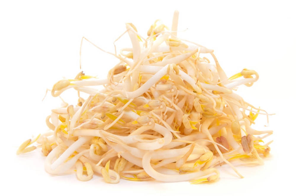 beige mung bean sprouts, crisp white, yellow bean sprouts, SD Desktop Wallpaper
