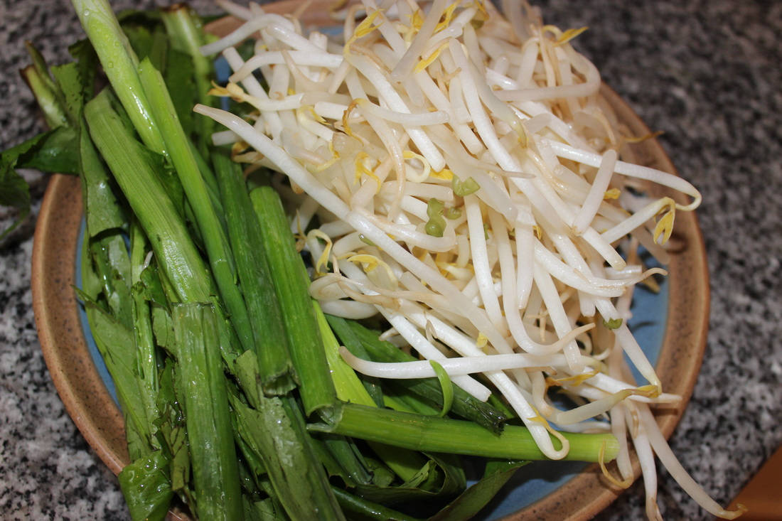 mung bean sprouts, cilantro, fresh green scallions, SD Desktop Wallpaper