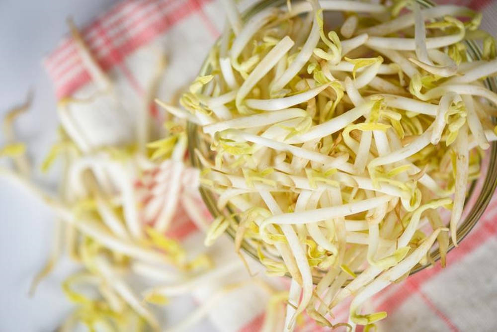 glass bowl, mung bean sprouts, red and white checkered cloth, SD Desktop Wallpaper