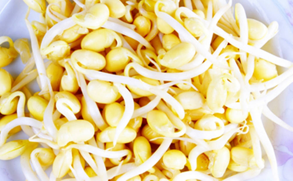 mung bean sprouts, fresh vegetable, yellow, SD Desktop Wallpaper