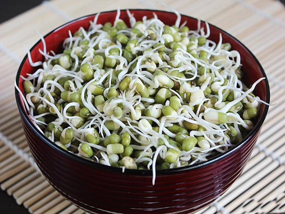 mung bean sprouts, bowl, bamboo mat, SD Desktop Wallpaper