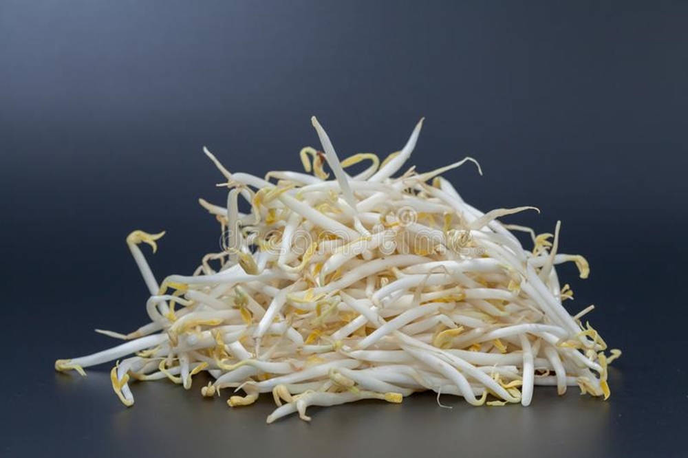 mung bean sprouts, white, yellow, SD Desktop Wallpaper