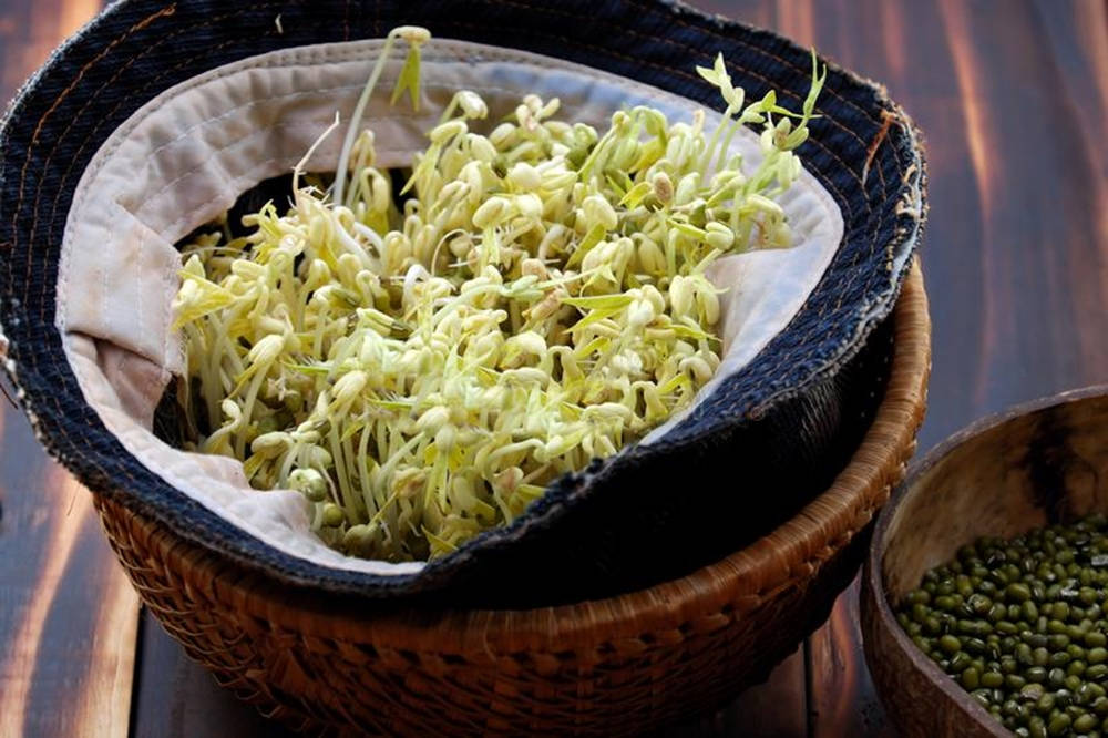 mung bean sprouts, woven basket, cloth, SD Desktop Wallpaper