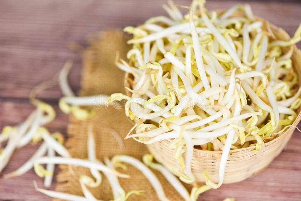 mung bean sprouts, rattan basket, white, SD Desktop Wallpaper