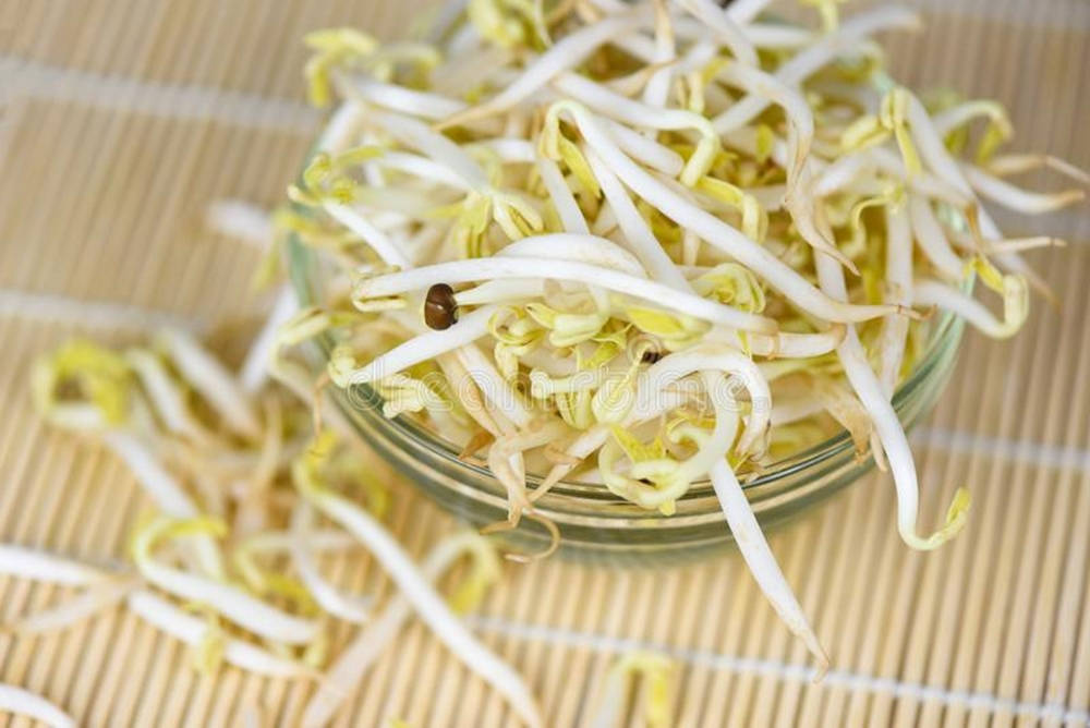 bean sprouts, glass bowl, woven bamboo mat, SD Desktop Wallpaper