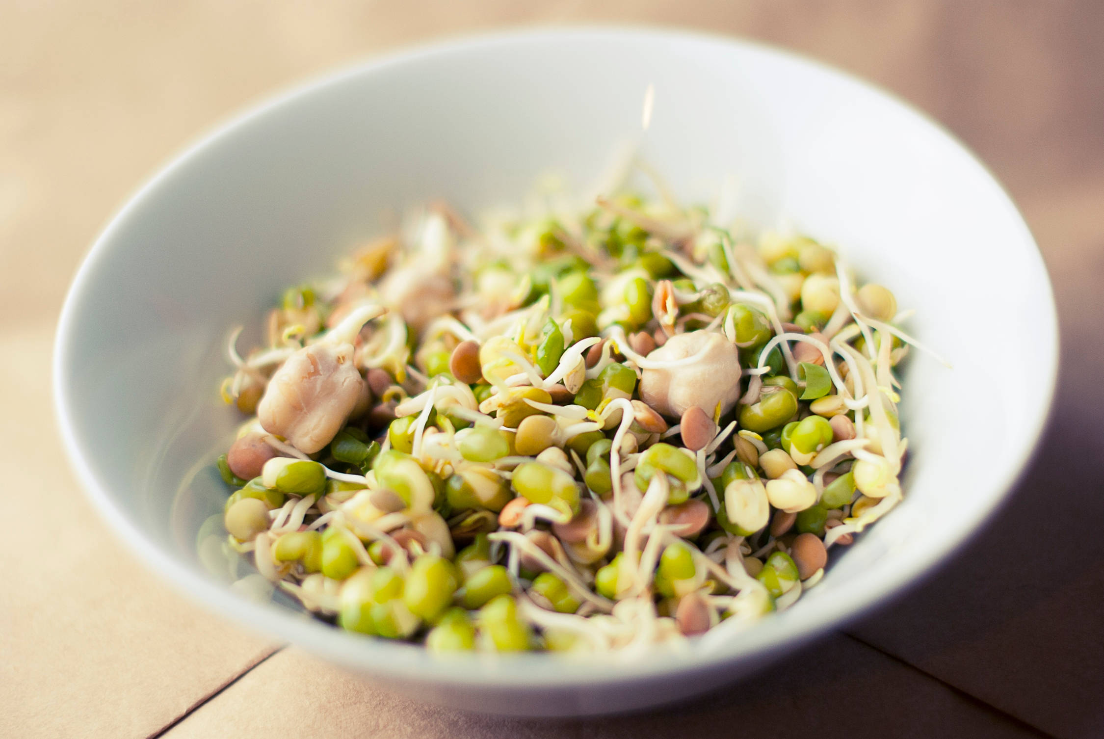mung bean sprouts, vegetable, white bowl, Full HD Desktop Wallpaper