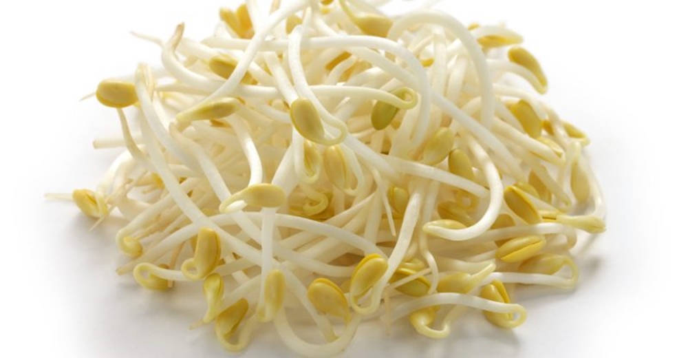 thin crisp mung bean sprouts, white and yellow bean sprouts, delicate stems, SD Desktop Wallpaper