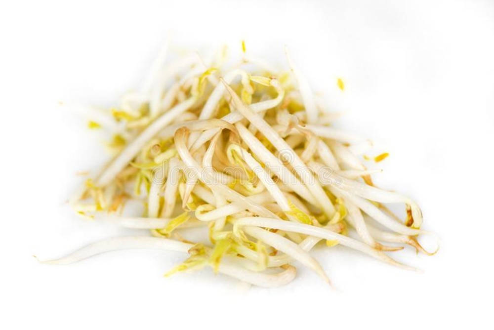 mung bean sprouts, white, yellow, SD Desktop Wallpaper