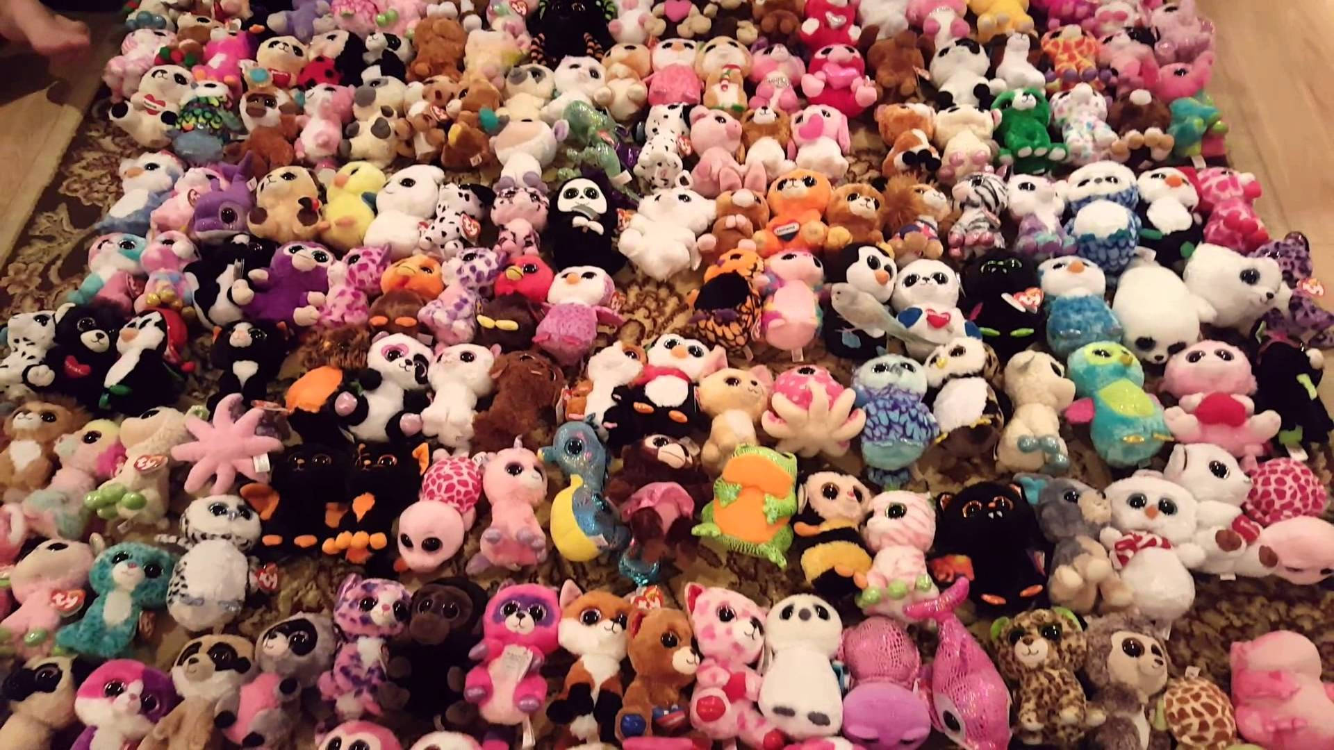 Beanie Boos, plushie collection, colorful plush toys, Full HD Desktop Wallpaper