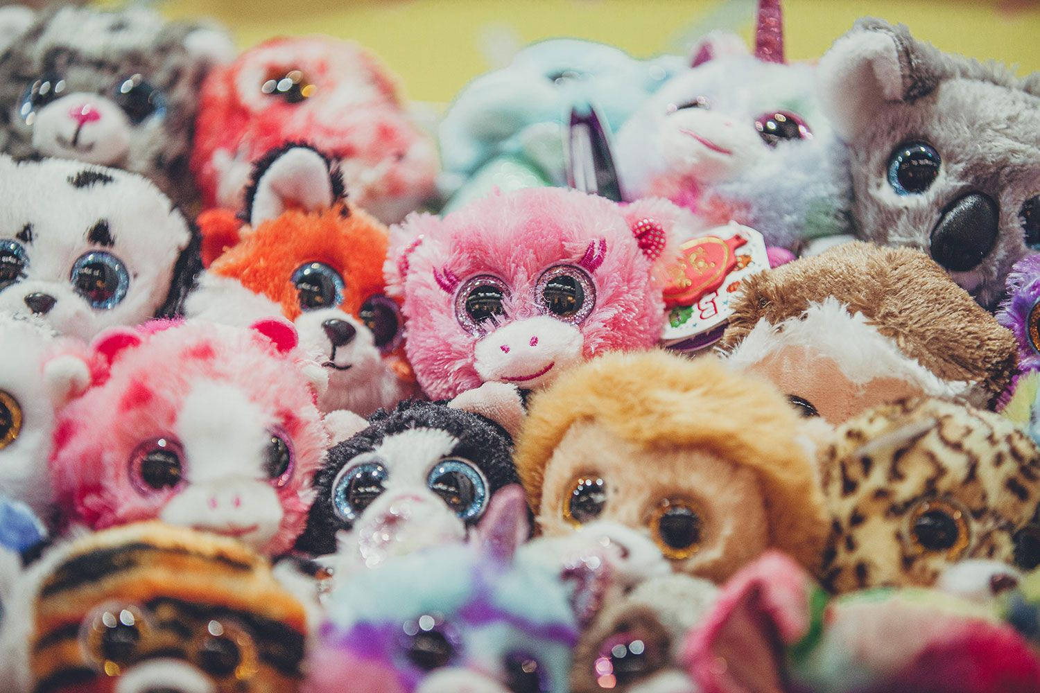 Beanie Boos, glittery eyes, soft colorful fur, HD Desktop Wallpaper