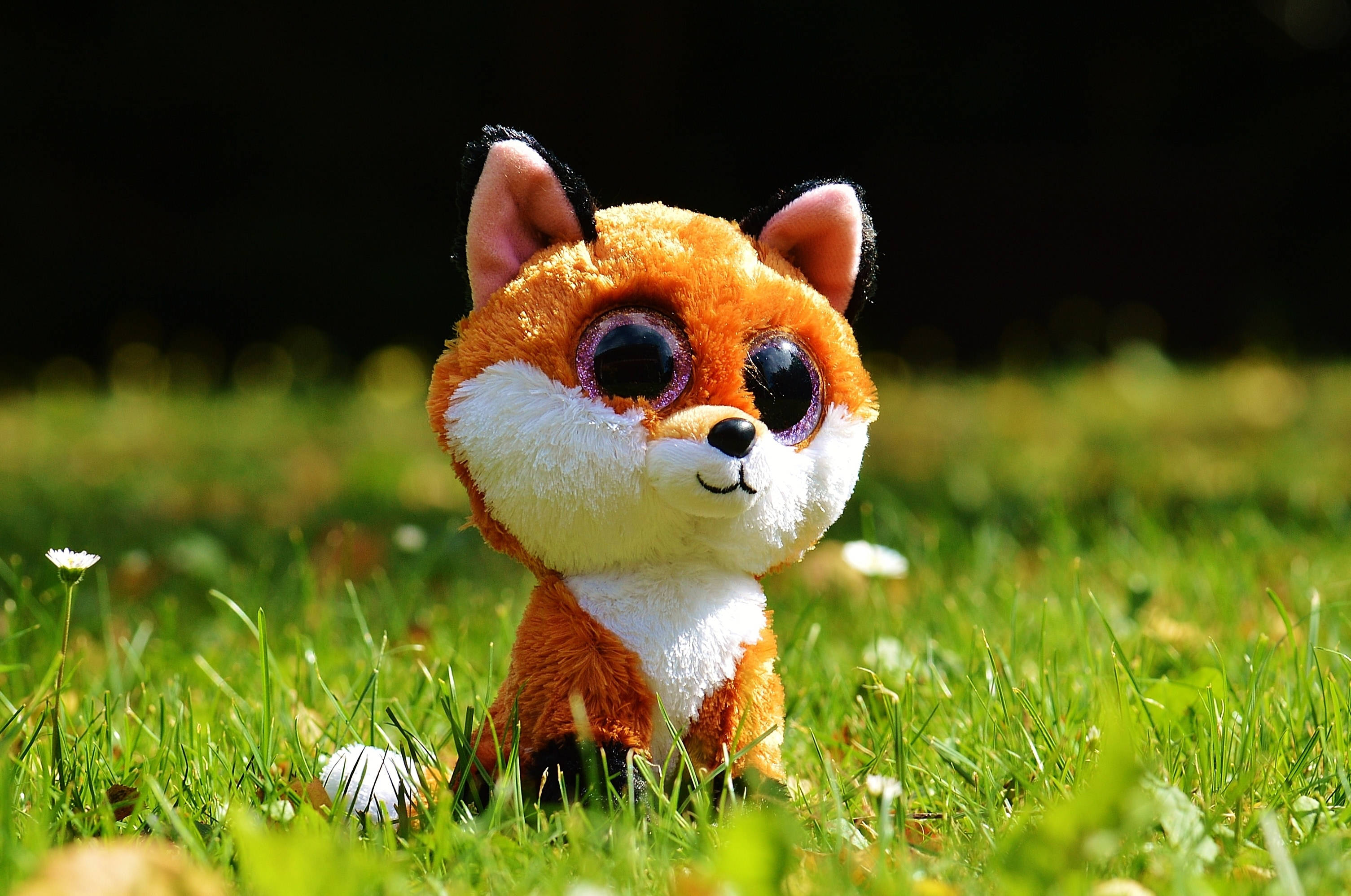 Beanie Boos, fox, grass, 2K Desktop Wallpaper