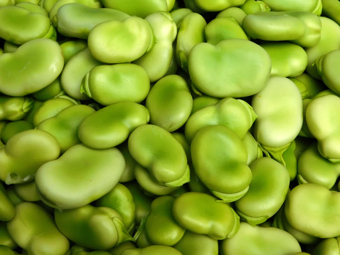 Beans