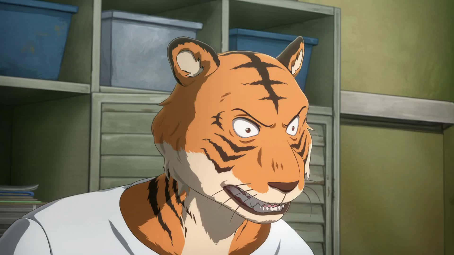 Beastars Bill, tiger humanoid, orange fur, Full HD Desktop Wallpaper
