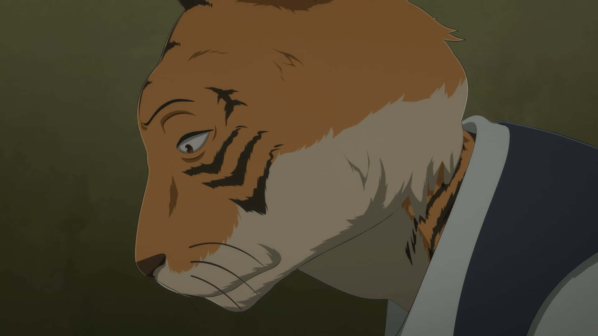 Beastars Bill, anthropomorphic tiger, dark suit, Full HD Desktop Wallpaper