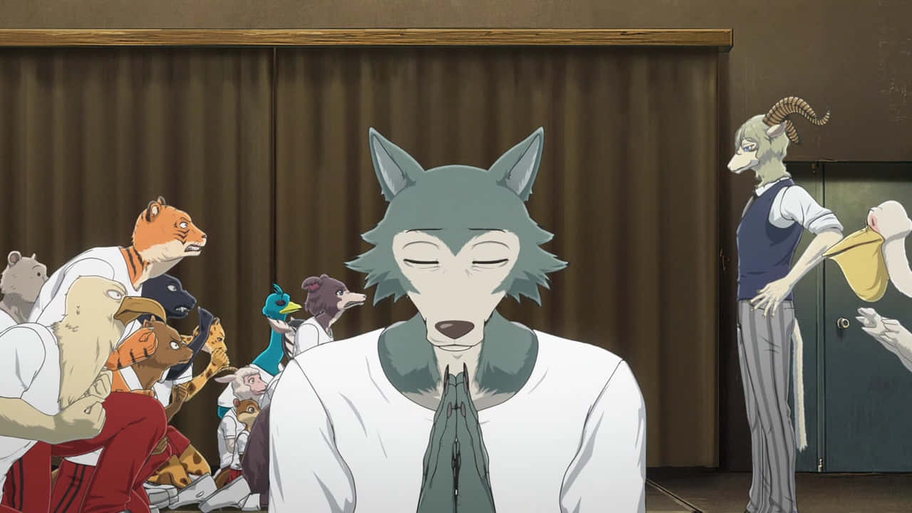 Beastars, wolf character, white shirt and tie, HD Desktop Wallpaper