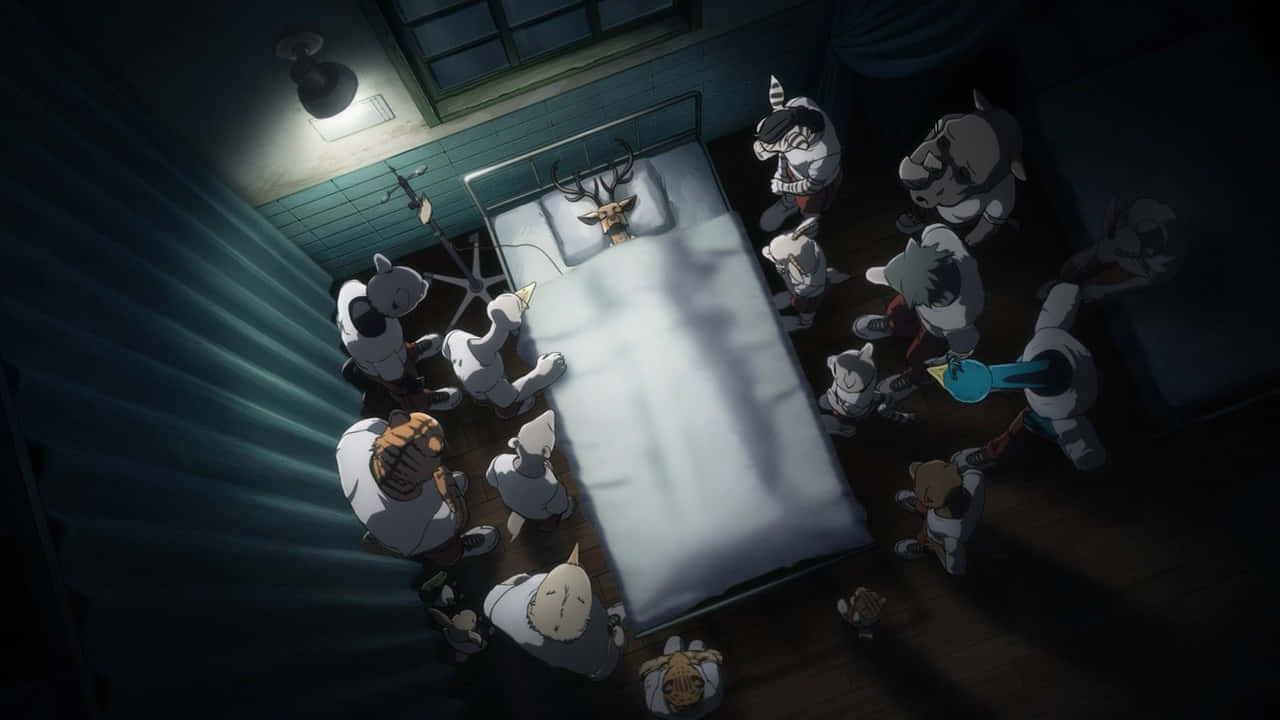 Beastars, animal students, anthropomorphic animal characters, HD Desktop Wallpaper