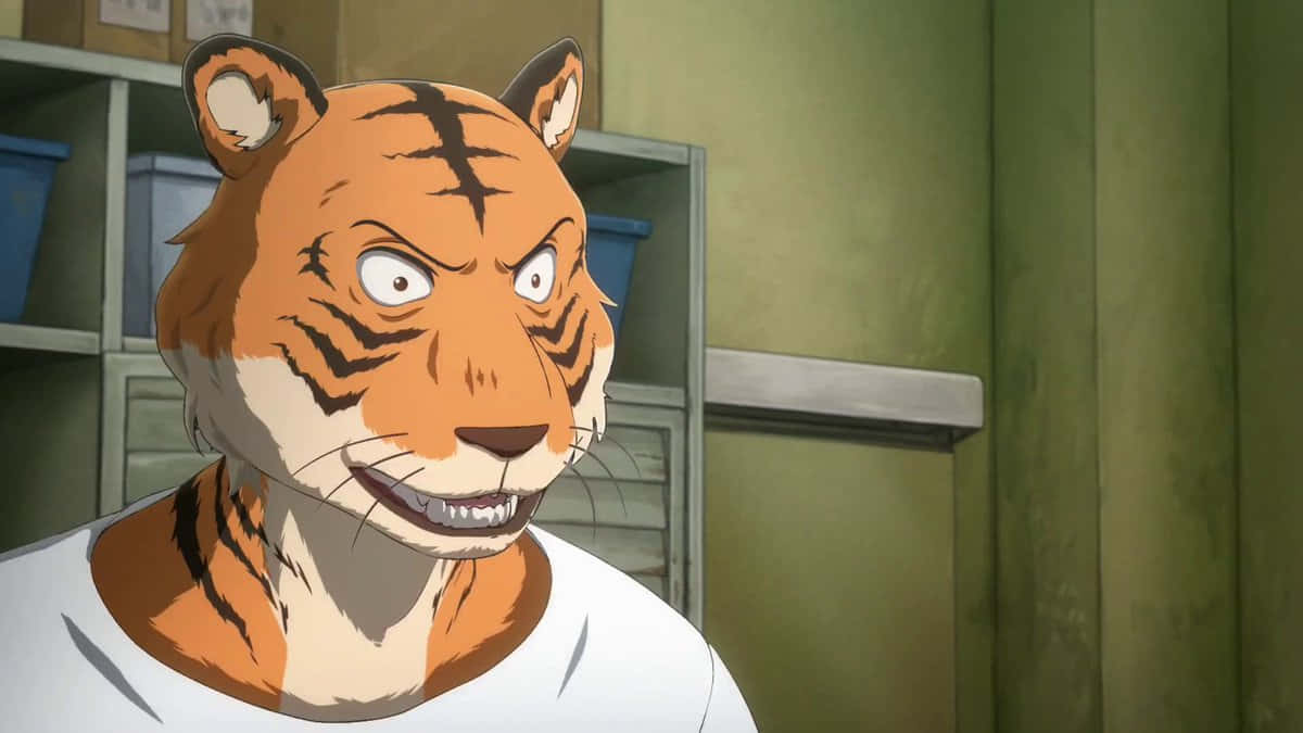 Beastars Bill, tiger-headed humanoid, white t-shirt, SD Desktop Wallpaper