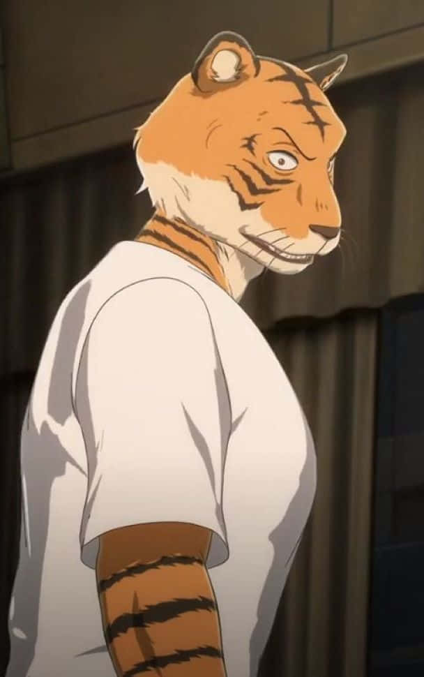 Bill, Beastars, tiger-headed, SD Phone Wallpaper