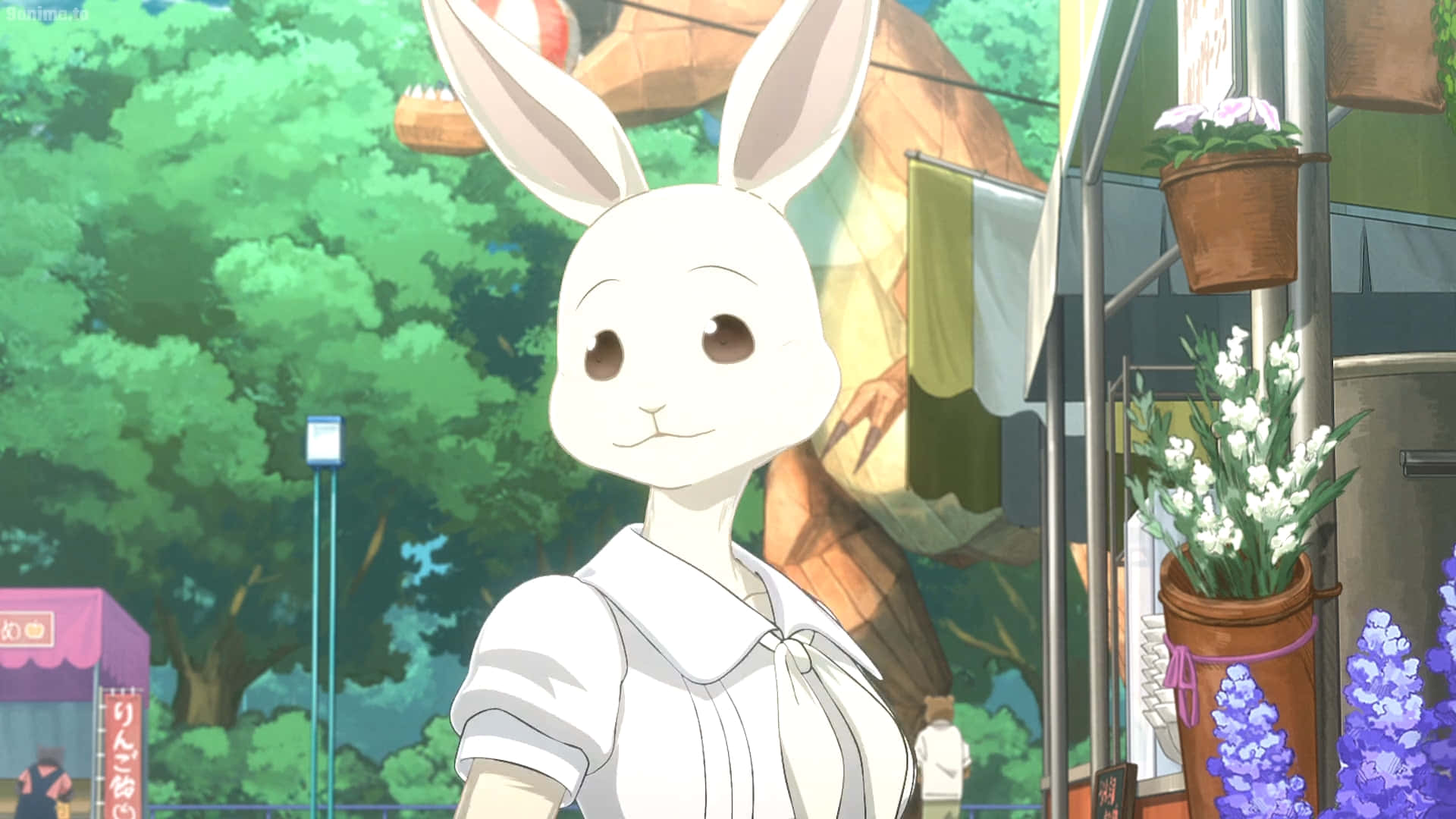Beastars Haru, white anthropomorphic rabbit, white blouse, Full HD Desktop Wallpaper