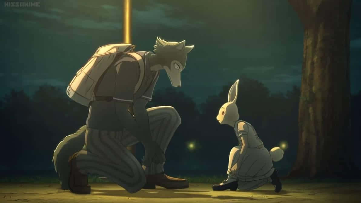 Beastars, Nighttime Meeting, wolf, SD Desktop Wallpaper