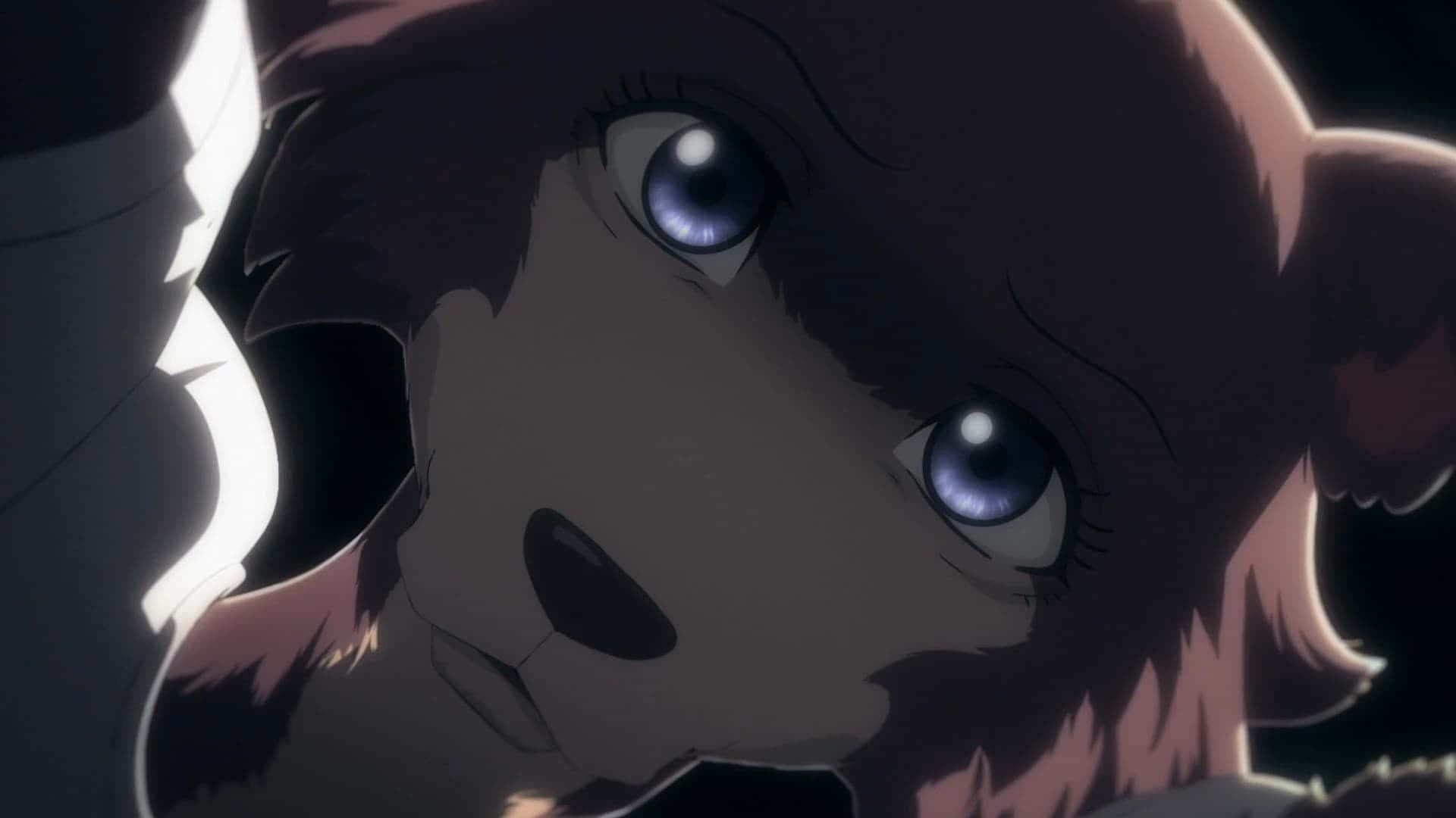 Beastars Juno, anime wolf, blue eyes, Full HD Desktop Wallpaper