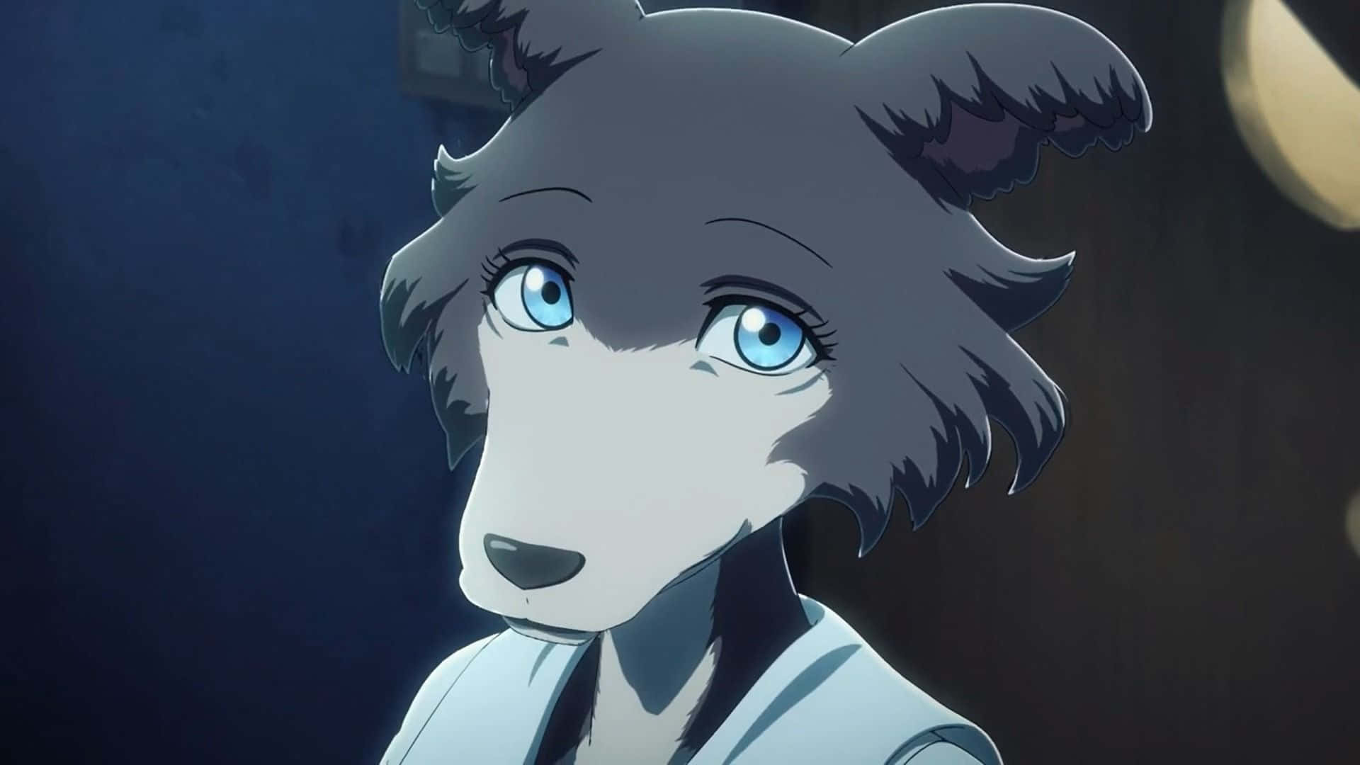 Beastars Juno, anime wolf character, blue eyes, Full HD Desktop Wallpaper