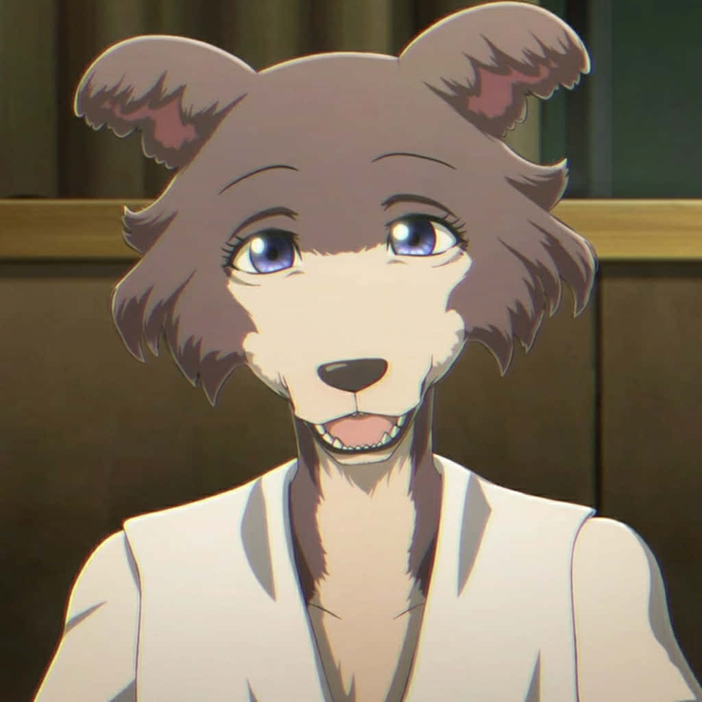 Beastars Juno, blue eyes, brown fur, SD Desktop Wallpaper