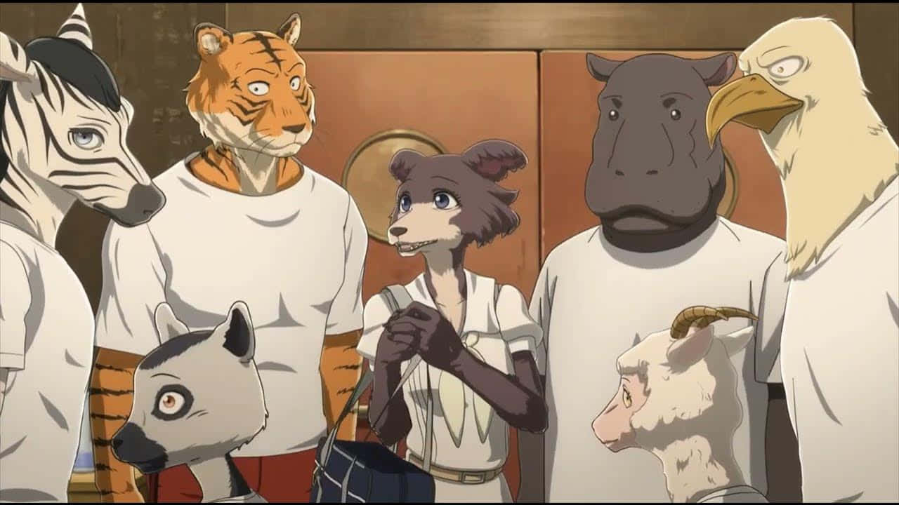 Beastars, group of animal students, white shirts, HD Desktop Wallpaper