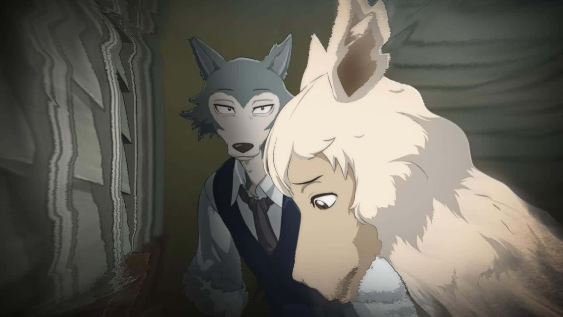 Legoshi, Beastars, formal wear, Full HD Desktop Wallpaper