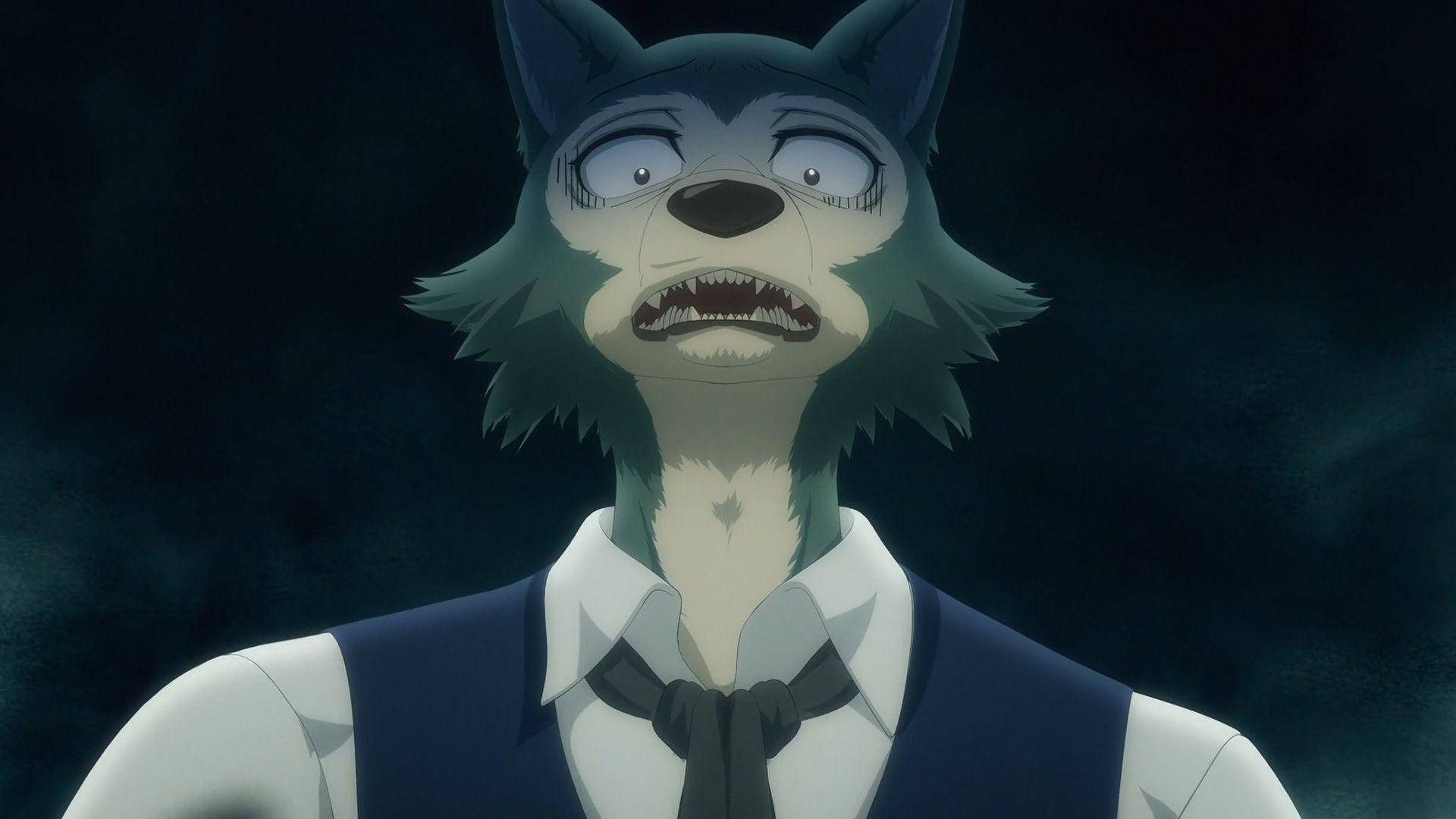 Beastars, Legoshi, Full HD Desktop Wallpaper