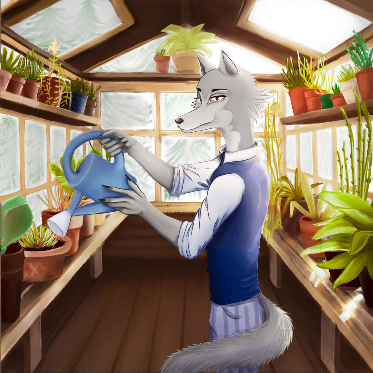 Legoshi, grey anthropomorphic wolf, blue vest, HD Desktop Wallpaper