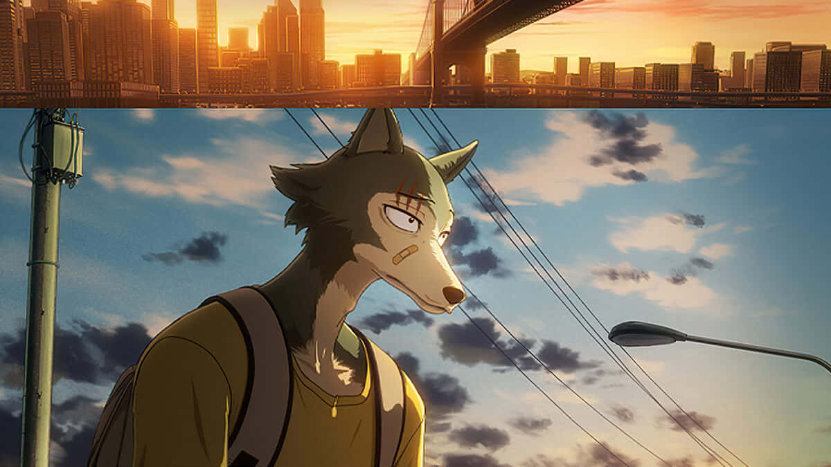 Legoshi, sunset, cityscape, SD Desktop Wallpaper