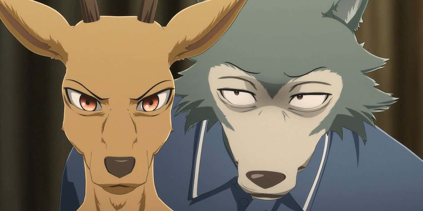 Beastars, deer, wolf, HD Desktop Wallpaper
